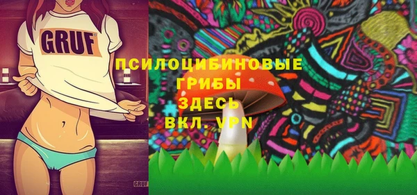 амф Алексин