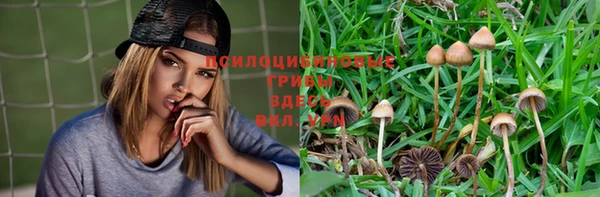 амф Алексин