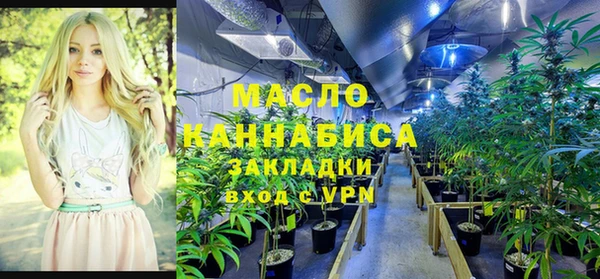 амф Алексин