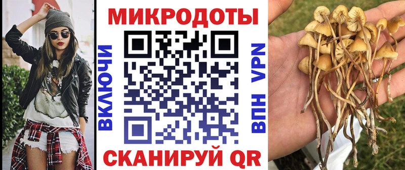 Псилоцибиновые грибы мицелий  купить   ОМГ ОМГ ССЫЛКА  Абакан 