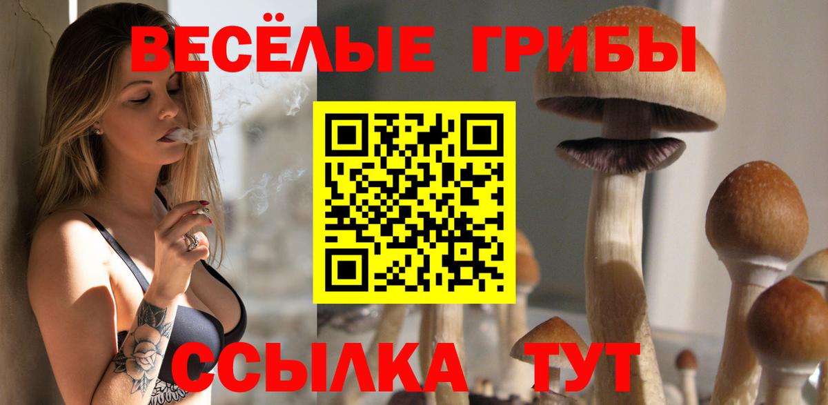 Псилоцибиновые грибы Psilocybe  Галлюциногенные грибы MAGIC MUSHROOMS  Абакан  купить закладку  Вход с VPN 